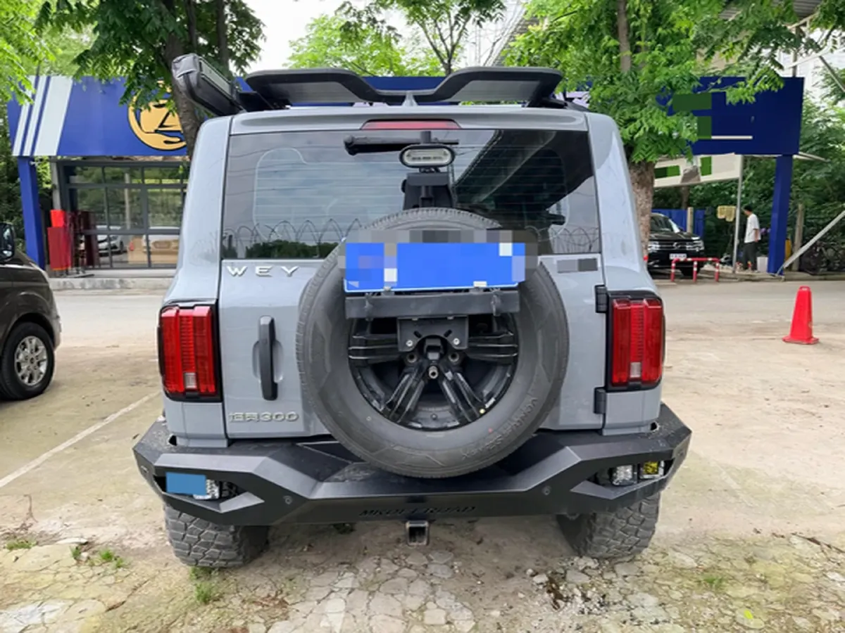 2021 Tank 300 2.0T 227HP L4 8AT,autocango,china used car exporter,china ev exporter,chinese used car exporter,chinese used ev exporter