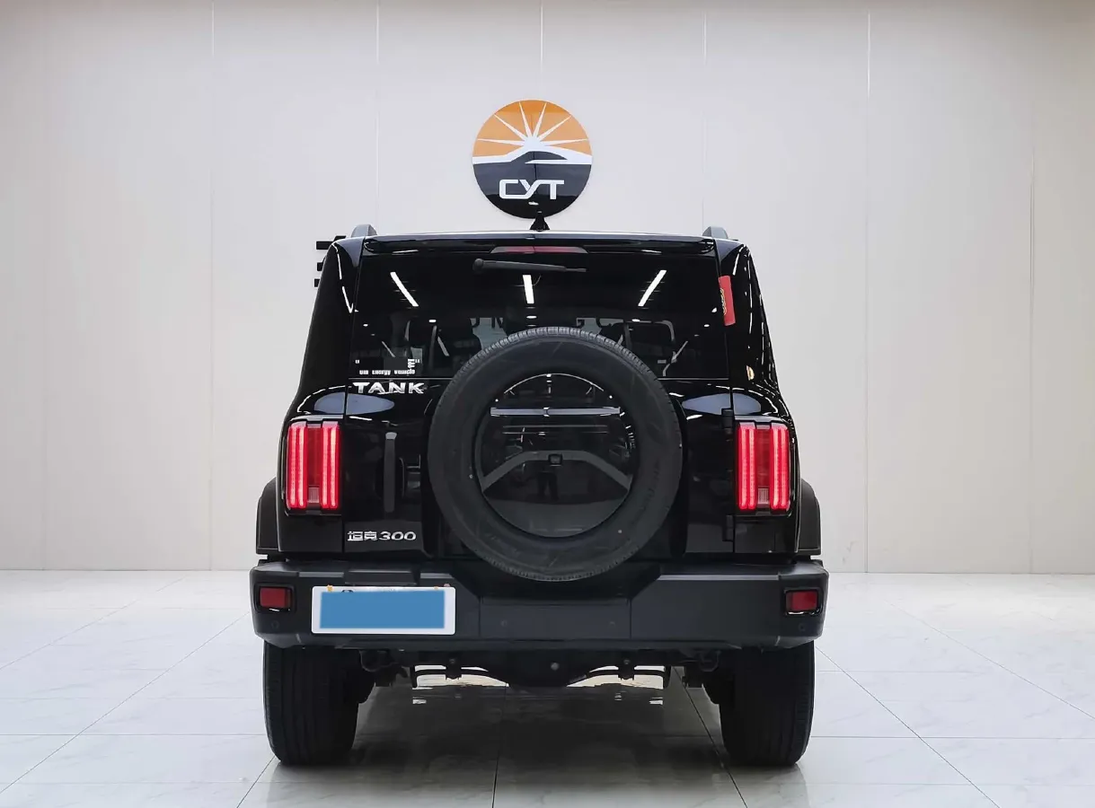2021 Tank 300 2.0T 227HP L4 8AT,autocango,china used car exporter,china ev exporter,chinese used car exporter,chinese used ev exporter