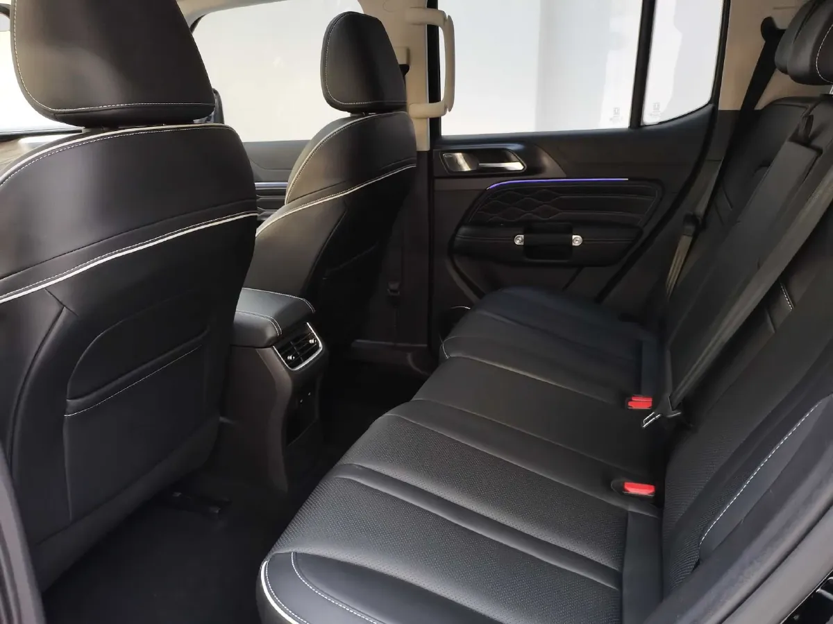 2021 Tank 300 2.0T 227HP L4 8AT,autocango,china used car exporter,china ev exporter,chinese used car exporter,chinese used ev exporter