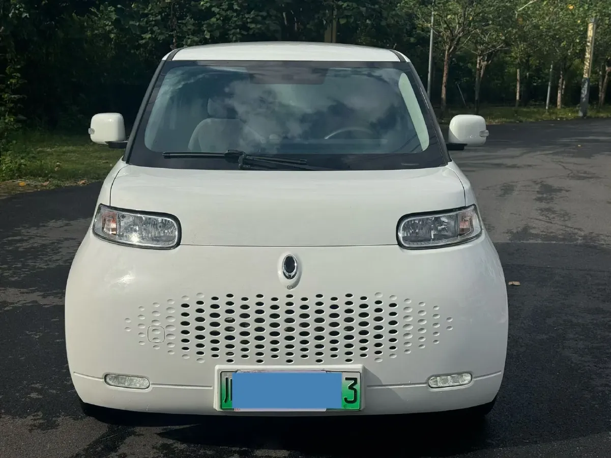 2020 Ora WhiteCat BEV 29.4KWH,autocango,china used car exporter,china ev exporter,chinese used car exporter,chinese used ev exporter