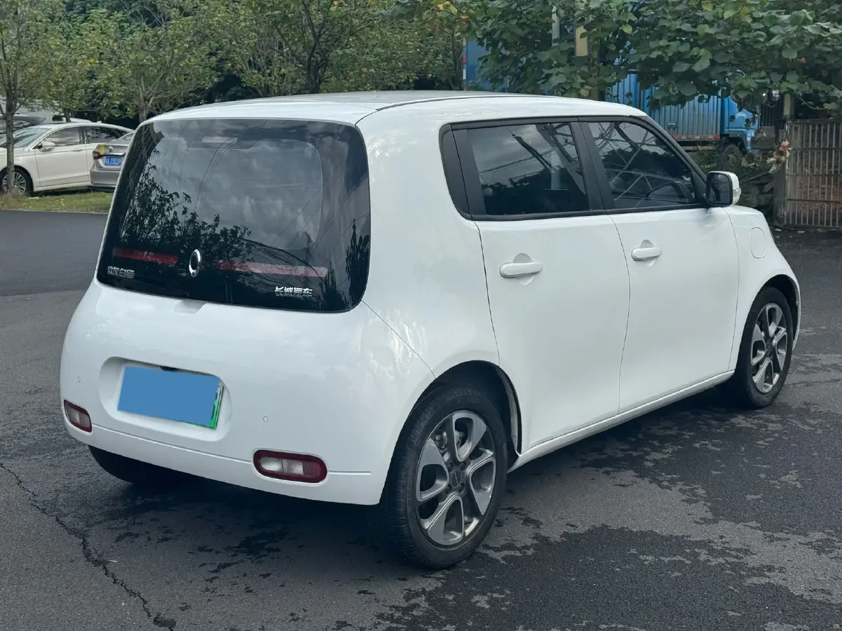 2020 Ora WhiteCat BEV 29.4KWH,autocango,china used car exporter,china ev exporter,chinese used car exporter,chinese used ev exporter