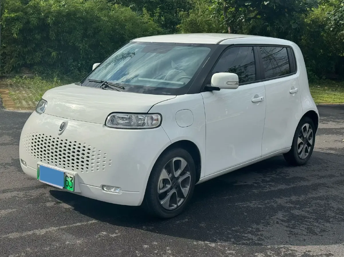 2020 Ora WhiteCat BEV 29.4KWH,autocango,china used car exporter,china ev exporter,chinese used car exporter,chinese used ev exporter