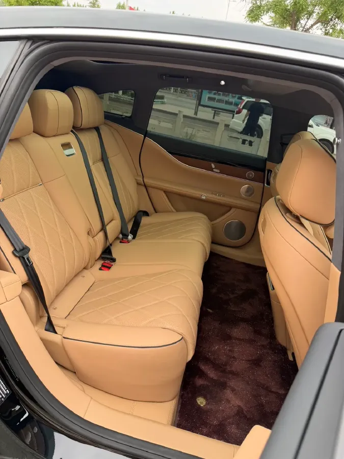 2026 HIMA Stelato S9 REEV 160HP REEV,autocango,china used car exporter,china ev exporter,chinese used car exporter,chinese used ev exporter