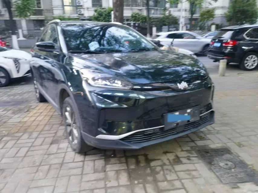 2020 Weltmeister EX5 BEV 52.56KWH,autocango,china used car exporter,china ev exporter,chinese used car exporter,chinese used ev exporter
