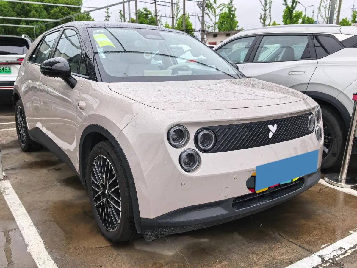 2025 Firefly Firefly BEV,autocango,china used car exporter,china ev exporter,chinese used car exporter,chinese used ev exporter