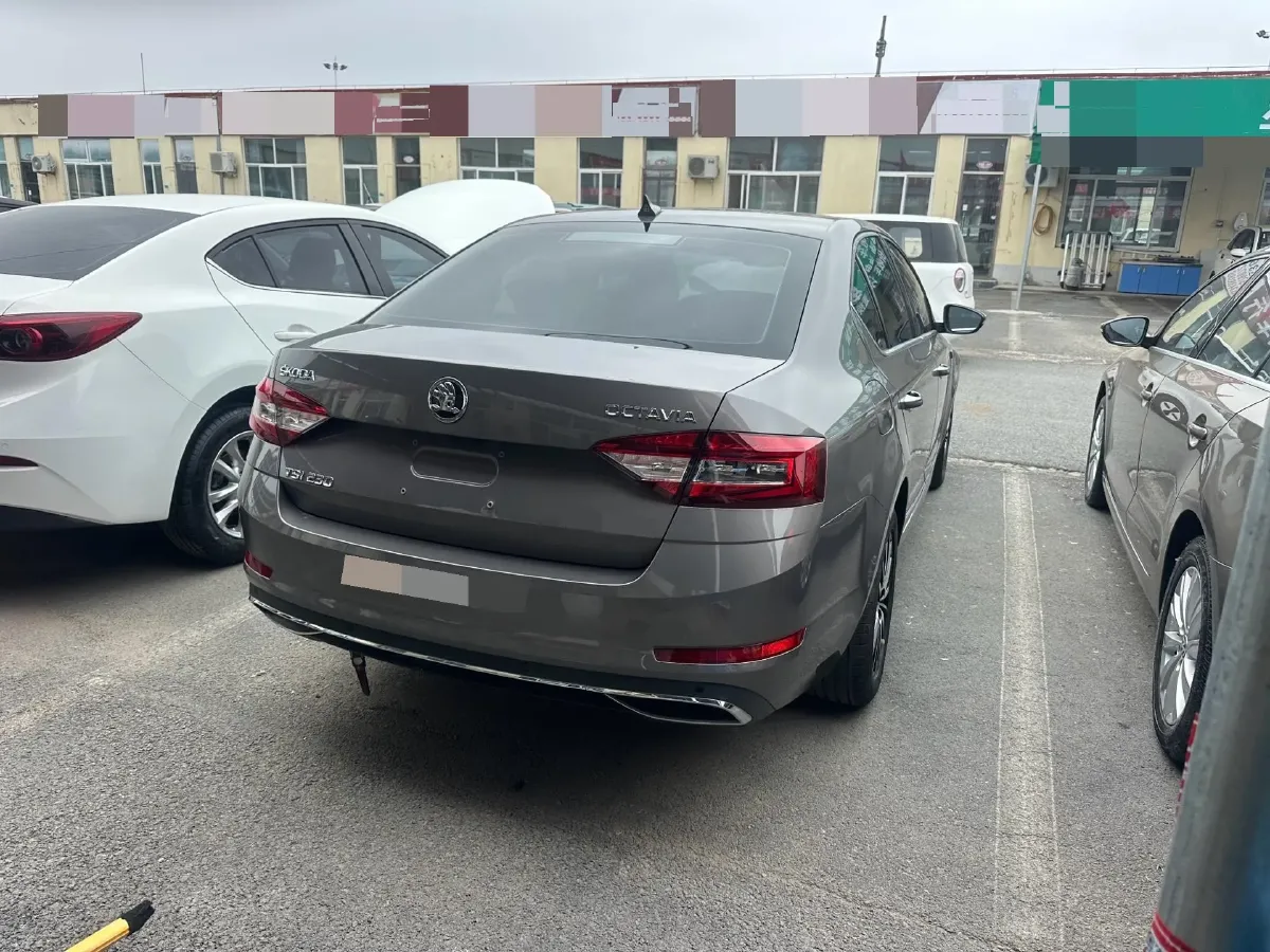 2024 Skoda Octavia 1.4T 150HP L4 7DCT,autocango,china used car exporter,china ev exporter,chinese used car exporter,chinese used ev exporter