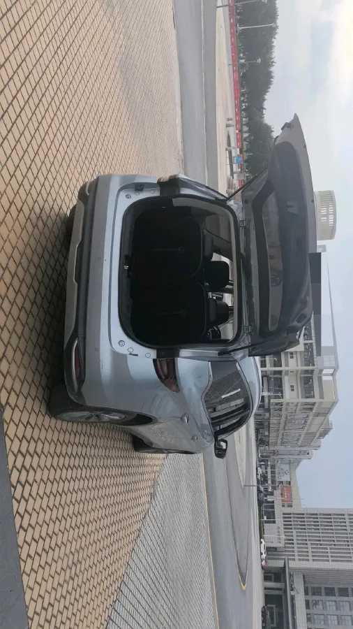 2021 LiFan Maple 80v BEV 53KWH,autocango,china used car exporter,china ev exporter,chinese used car exporter,chinese used ev exporter