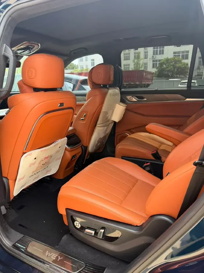 2023 WEY BlueMountain 1.5T 154HP L4 2DHT PHEV 44.5KWH,autocango,china used car exporter,china ev exporter,chinese used car exporter,chinese used ev exporter