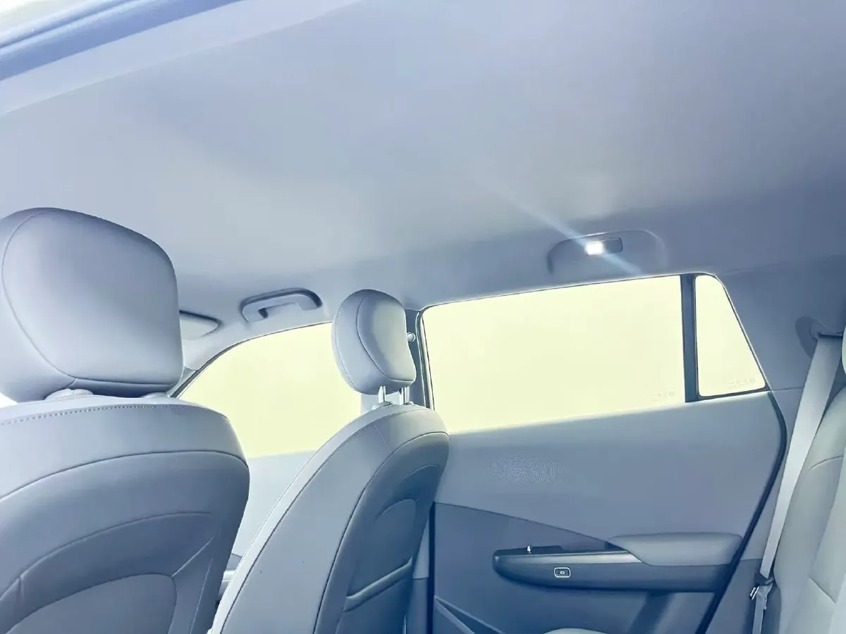 2025 DongFeng Nammi 06 BEV,autocango,china used car exporter,china ev exporter,chinese used car exporter,chinese used ev exporter