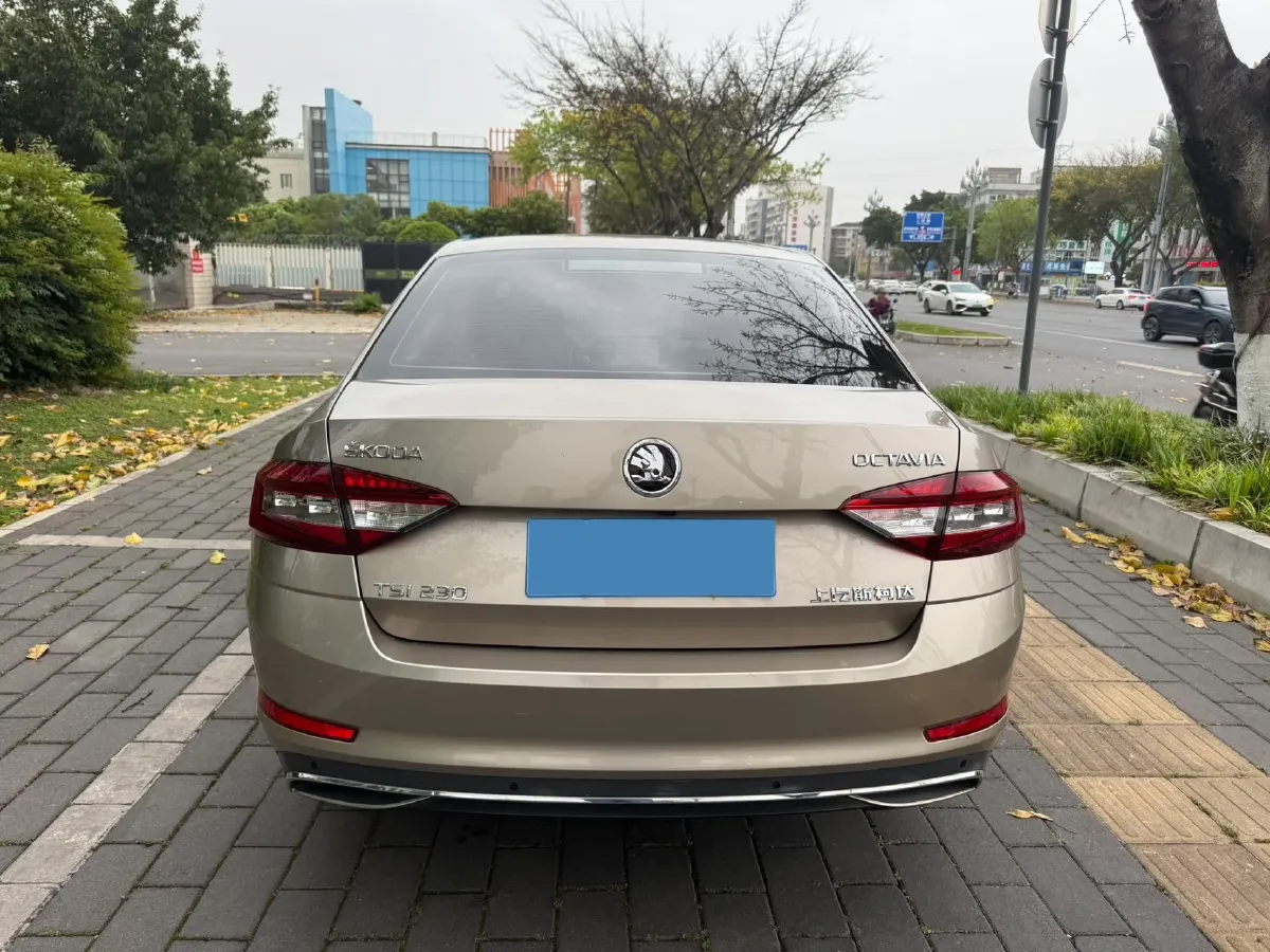 2018 Skoda Octavia 1.2T 116HP L4 7DCT,autocango,china used car exporter,china ev exporter,chinese used car exporter,chinese used ev exporter