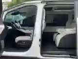 2024 Xpeng X9 BEV 101.5KWH