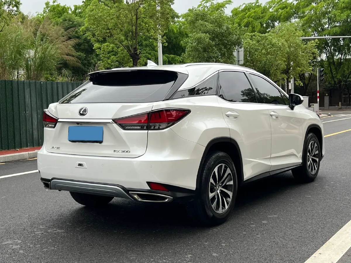 2020 Lexus RX 2.0T 238HP L4 6AT,autocango,china used car exporter,china ev exporter,chinese used car exporter,chinese used ev exporter