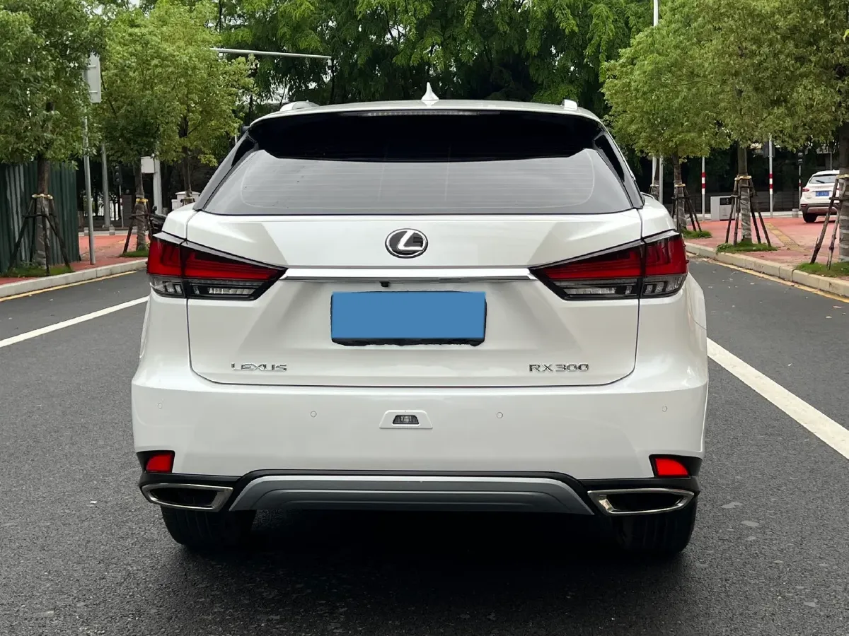2020 Lexus RX 2.0T 238HP L4 6AT,autocango,china used car exporter,china ev exporter,chinese used car exporter,chinese used ev exporter