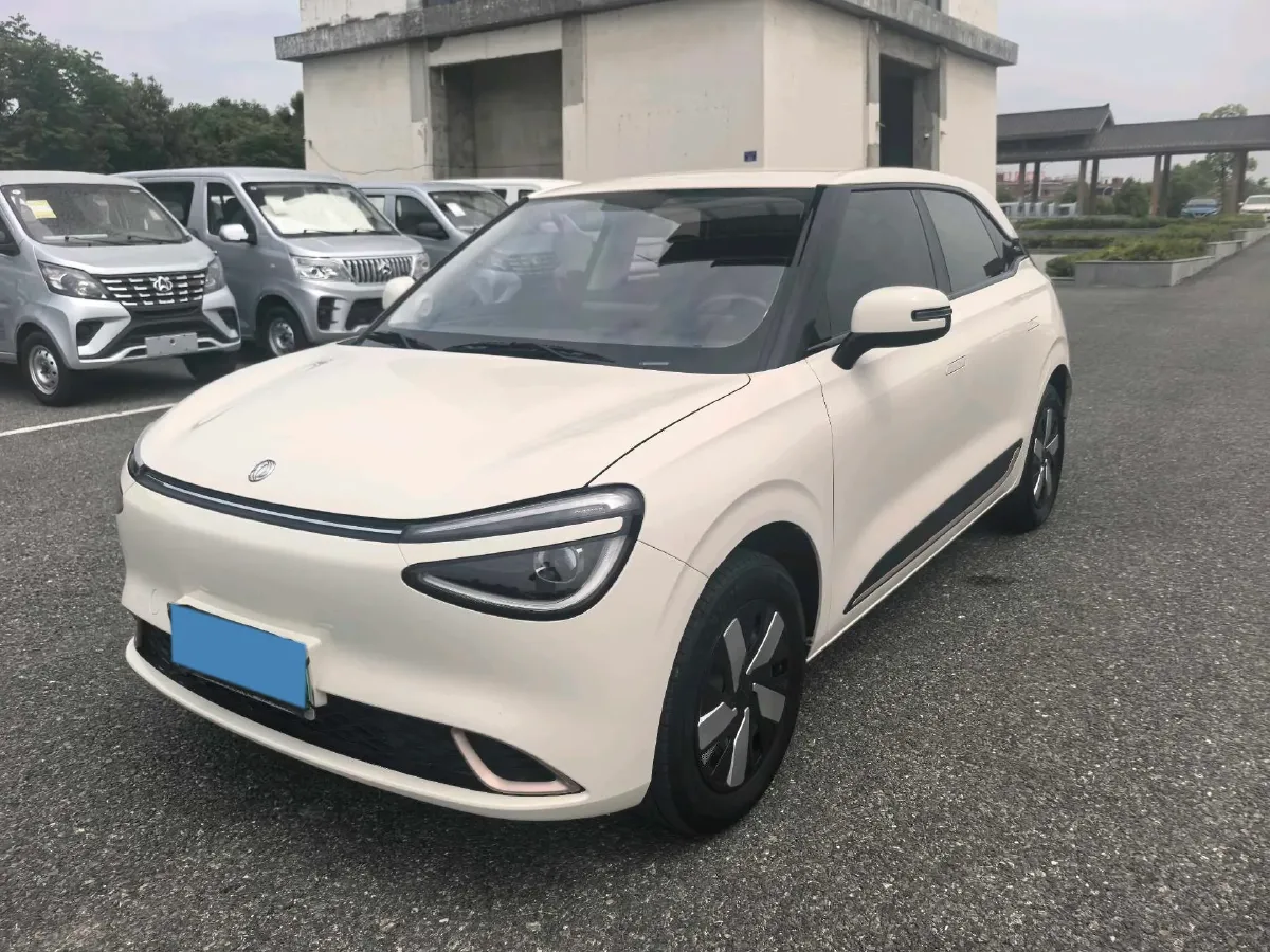 2024 DongFeng eπ 01 BEV 31.45KWH,autocango,china used car exporter,china ev exporter,chinese used car exporter,chinese used ev exporter