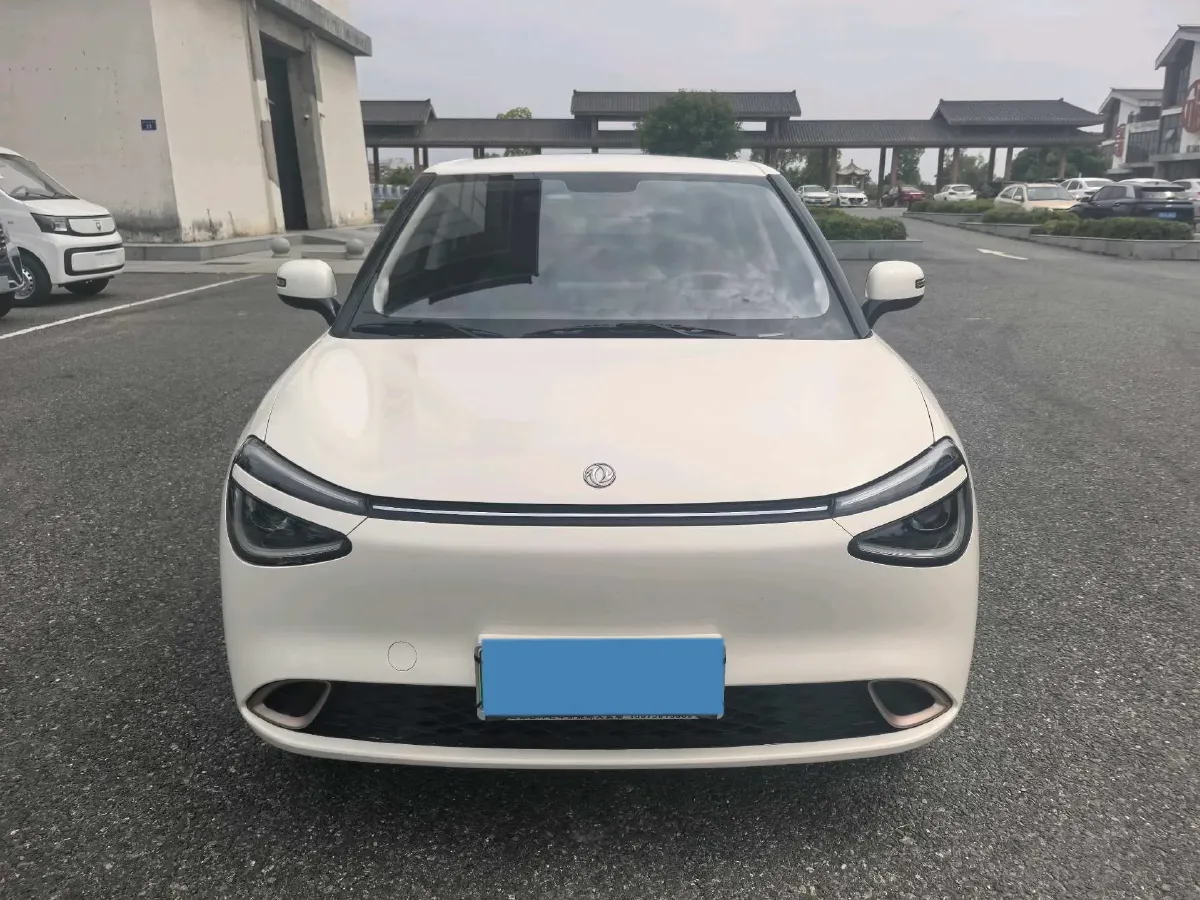 2024 DongFeng eπ 01 BEV 31.45KWH,autocango,china used car exporter,china ev exporter,chinese used car exporter,chinese used ev exporter