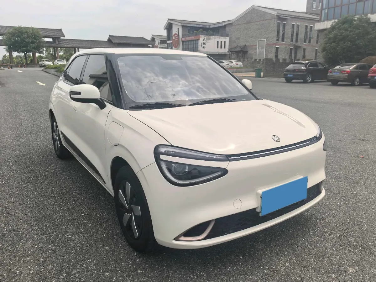 2024 DongFeng eπ 01 BEV 31.45KWH,autocango,china used car exporter,china ev exporter,chinese used car exporter,chinese used ev exporter