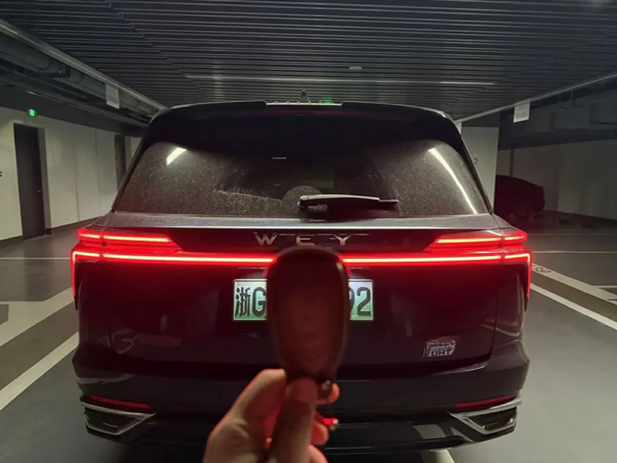 2023 WEY BlueMountain 1.5T 154HP L4 2DHT PHEV 44.5KWH,autocango,china used car exporter,china ev exporter,chinese used car exporter,chinese used ev exporter