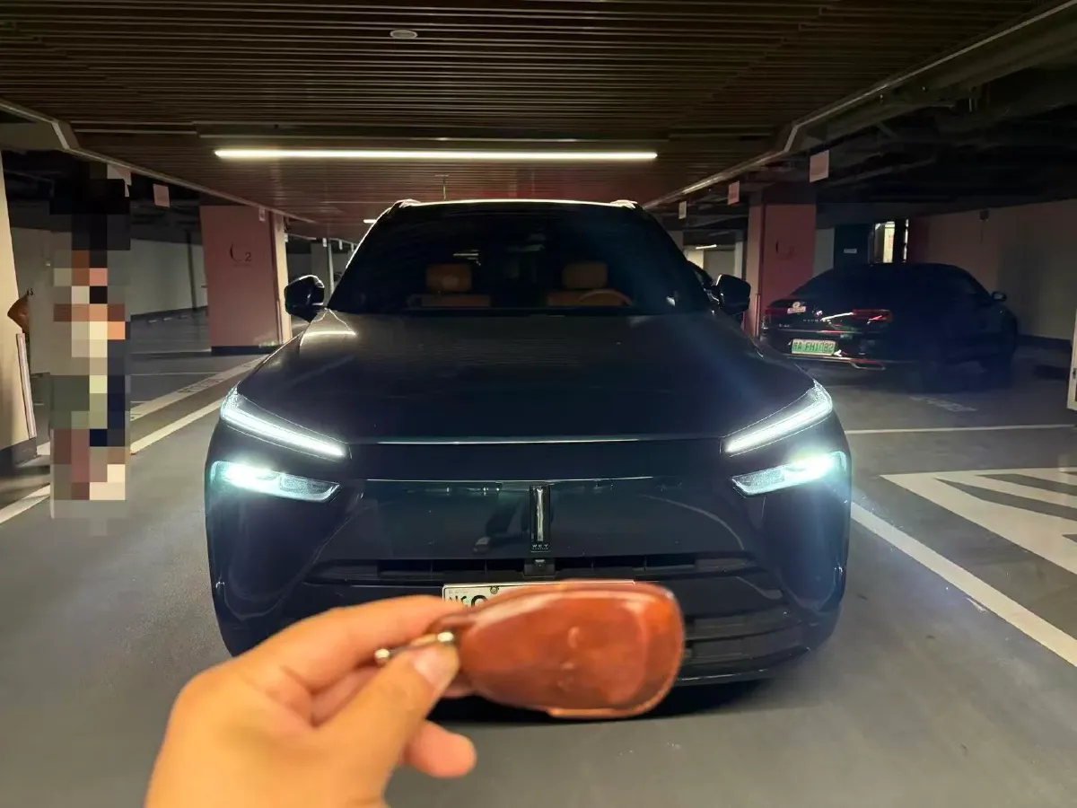 2023 WEY BlueMountain 1.5T 154HP L4 2DHT PHEV 44.5KWH,autocango,china used car exporter,china ev exporter,chinese used car exporter,chinese used ev exporter