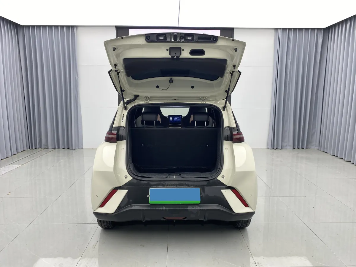 2025 BYD Seagull BEV 30.08KWH,autocango,china used car exporter,china ev exporter,chinese used car exporter,chinese used ev exporter