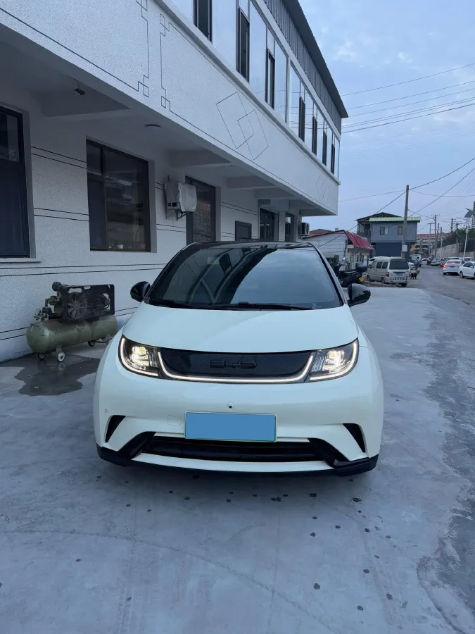 2023 BYD Dolphin BEV 44.928KWH,autocango,china used car exporter,china ev exporter,chinese used car exporter,chinese used ev exporter