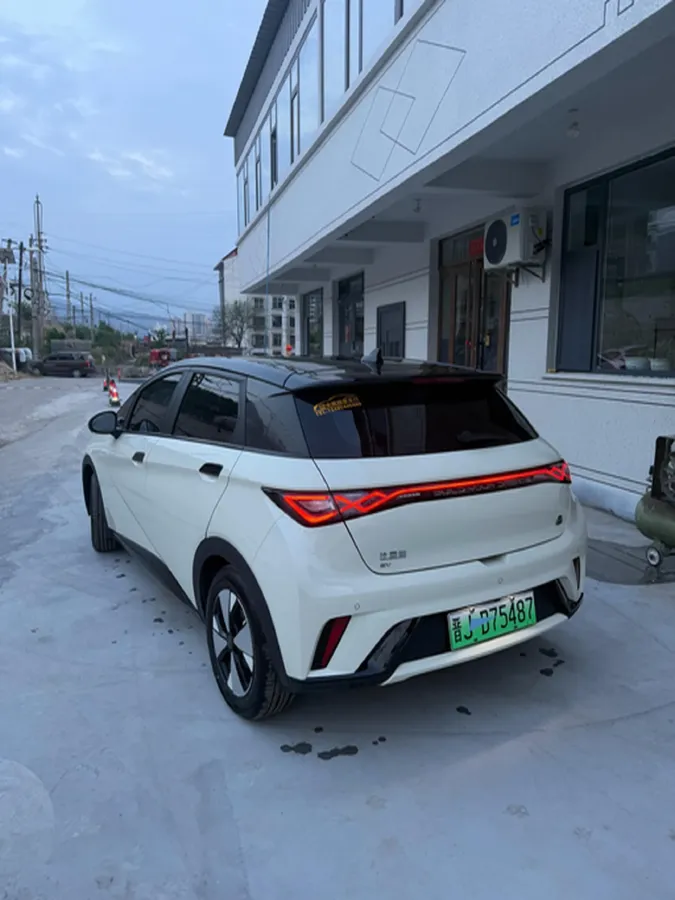 2023 BYD Dolphin BEV 44.928KWH,autocango,china used car exporter,china ev exporter,chinese used car exporter,chinese used ev exporter