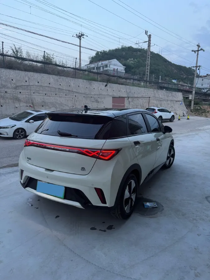 2023 BYD Dolphin BEV 44.928KWH,autocango,china used car exporter,china ev exporter,chinese used car exporter,chinese used ev exporter