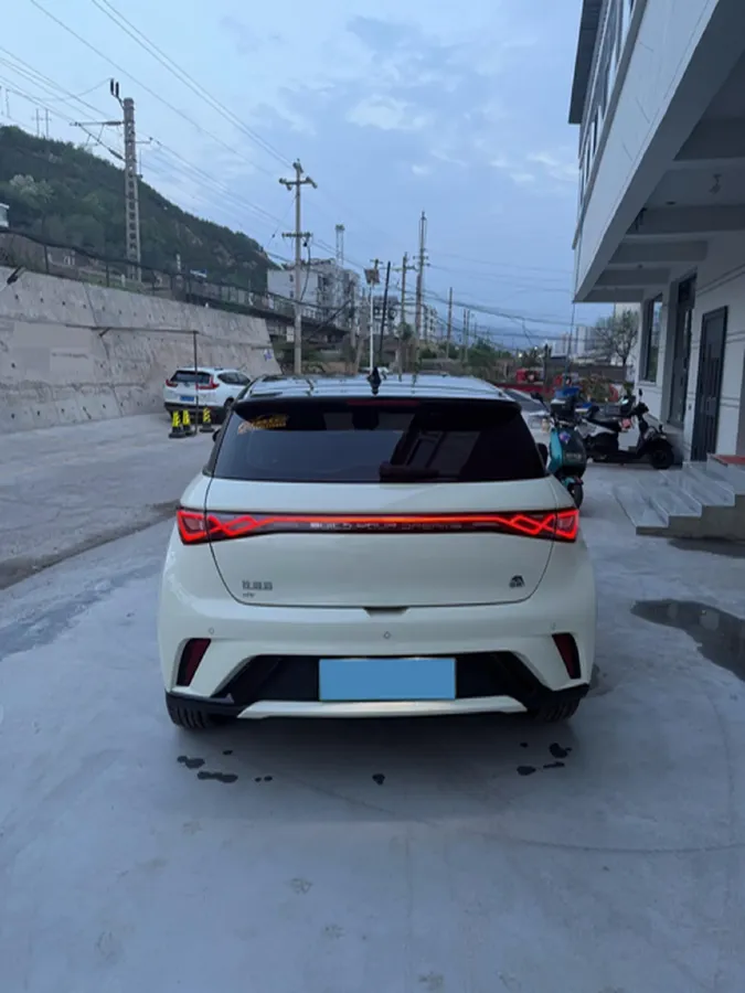 2023 BYD Dolphin BEV 44.928KWH,autocango,china used car exporter,china ev exporter,chinese used car exporter,chinese used ev exporter