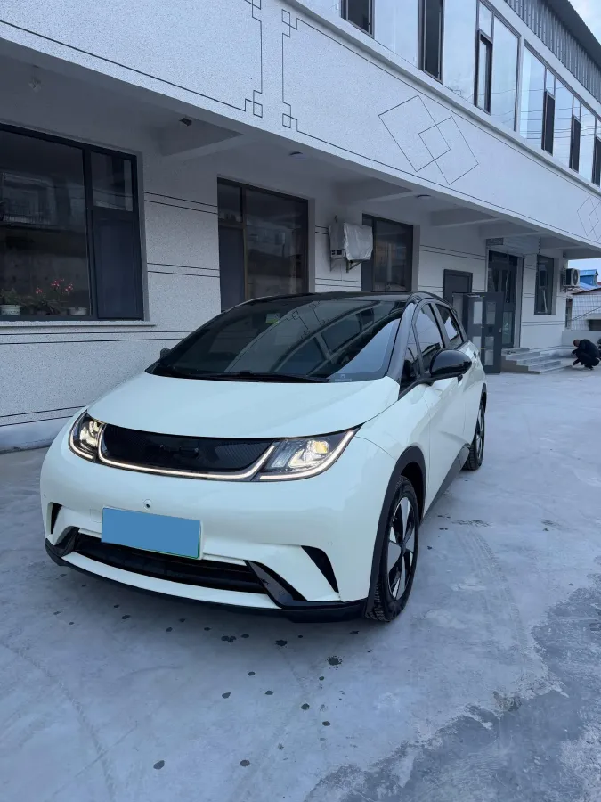 2023 BYD Dolphin BEV 44.928KWH,autocango,china used car exporter,china ev exporter,chinese used car exporter,chinese used ev exporter