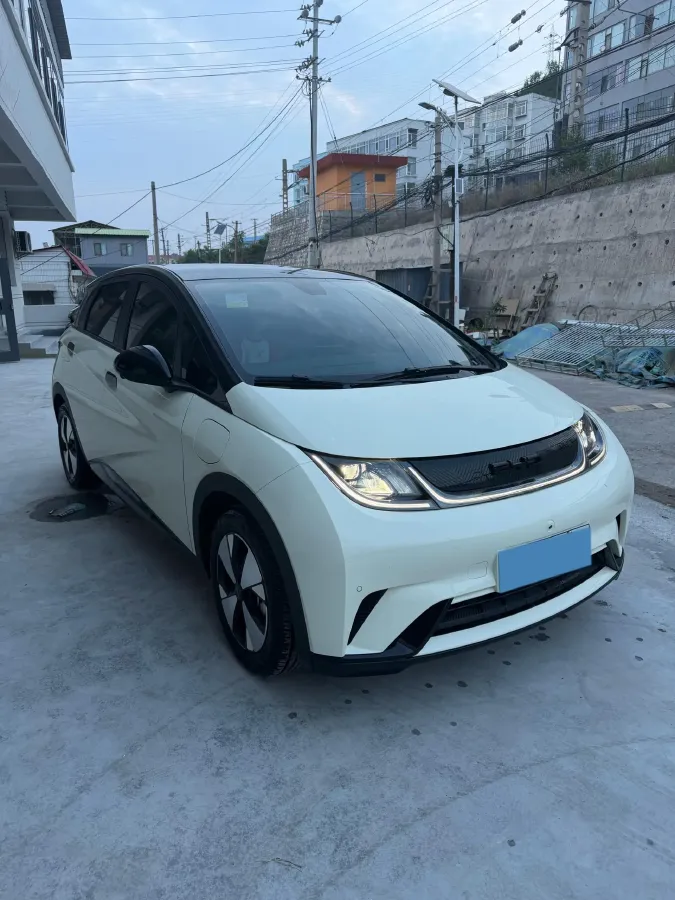 2023 BYD Dolphin BEV 44.928KWH,autocango,china used car exporter,china ev exporter,chinese used car exporter,chinese used ev exporter