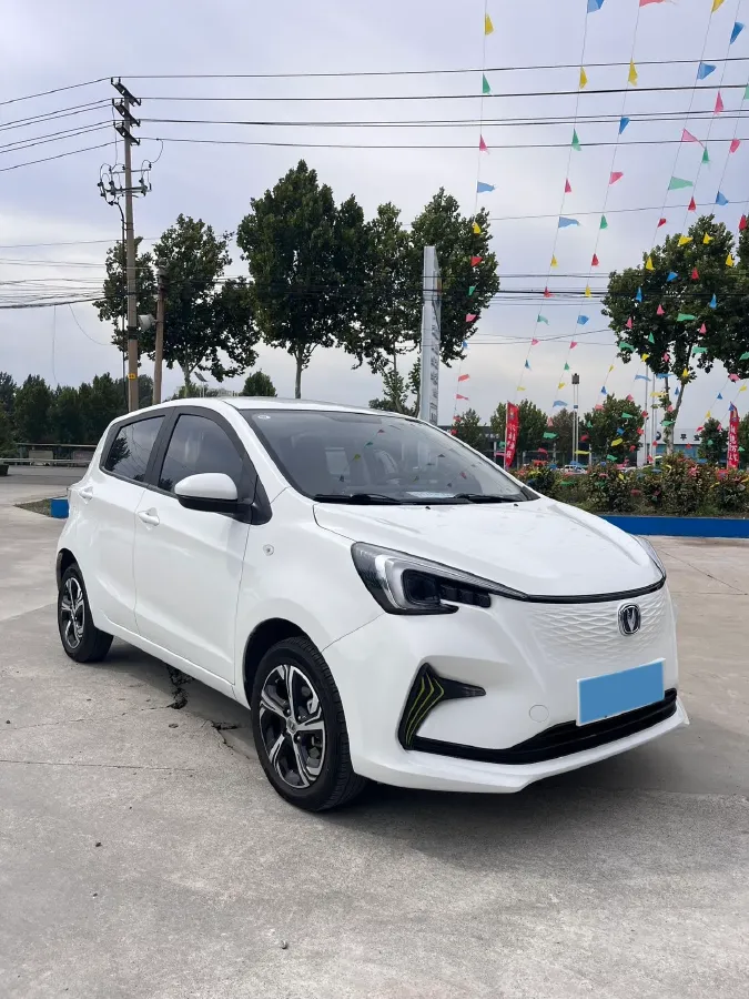 2022 ChangAn BenBen E-Star BEV 31.95KWH,autocango,china used car exporter,china ev exporter,chinese used car exporter,chinese used ev exporter