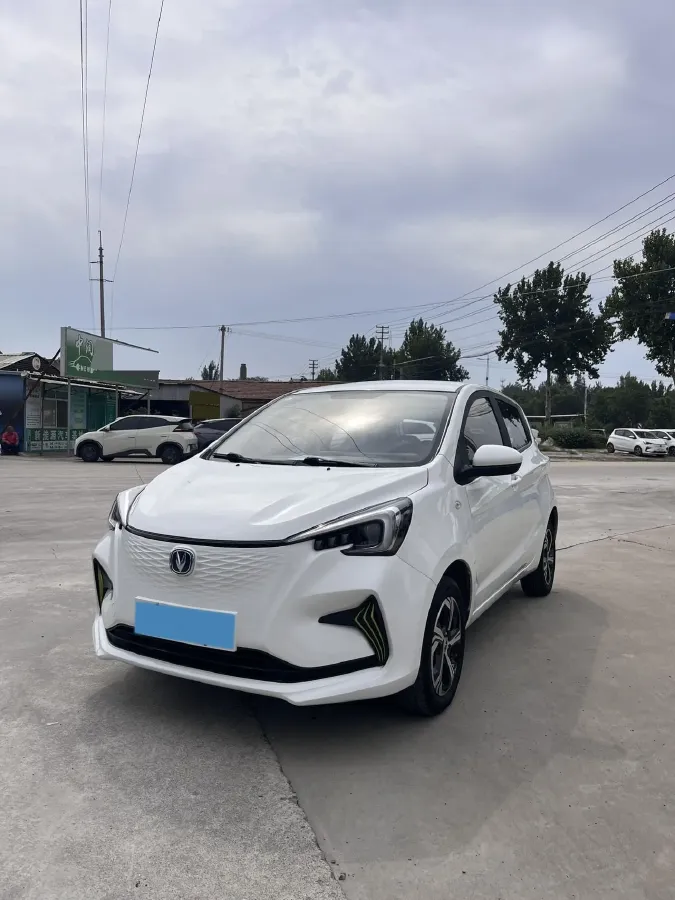 2022 ChangAn BenBen E-Star BEV 31.95KWH,autocango,china used car exporter,china ev exporter,chinese used car exporter,chinese used ev exporter