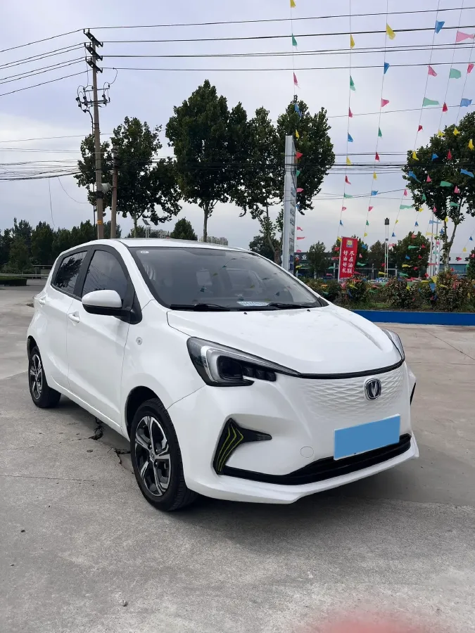 2022 ChangAn BenBen E-Star BEV 31.95KWH,autocango,china used car exporter,china ev exporter,chinese used car exporter,chinese used ev exporter