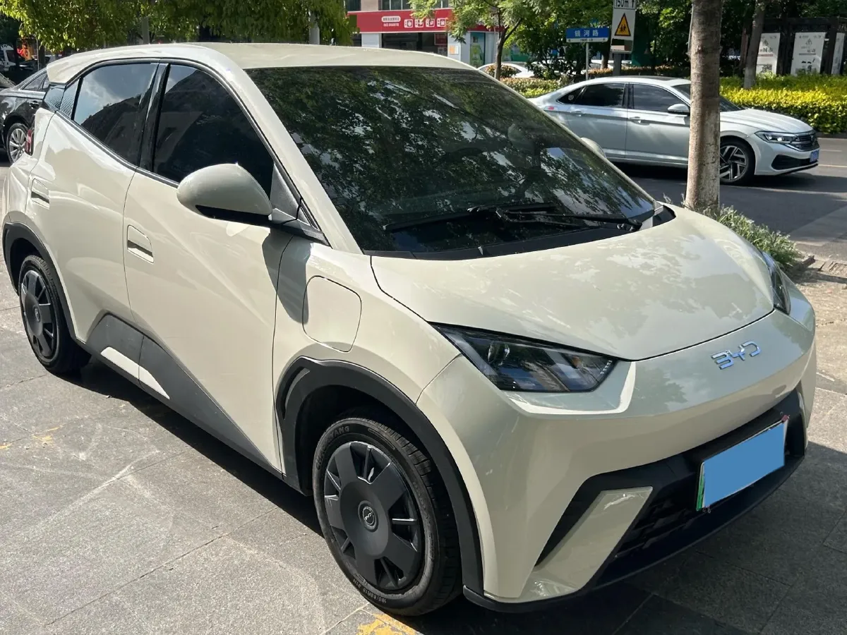 2025 BYD Seagull BEV 30.08KWH,autocango,china used car exporter,china ev exporter,chinese used car exporter,chinese used ev exporter