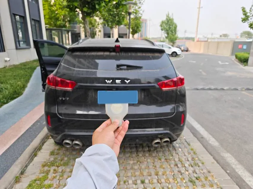 2019 WEY VV7 2.0T 234HP L4 7DCT,autocango,china used car exporter,china ev exporter,chinese used car exporter,chinese used ev exporter