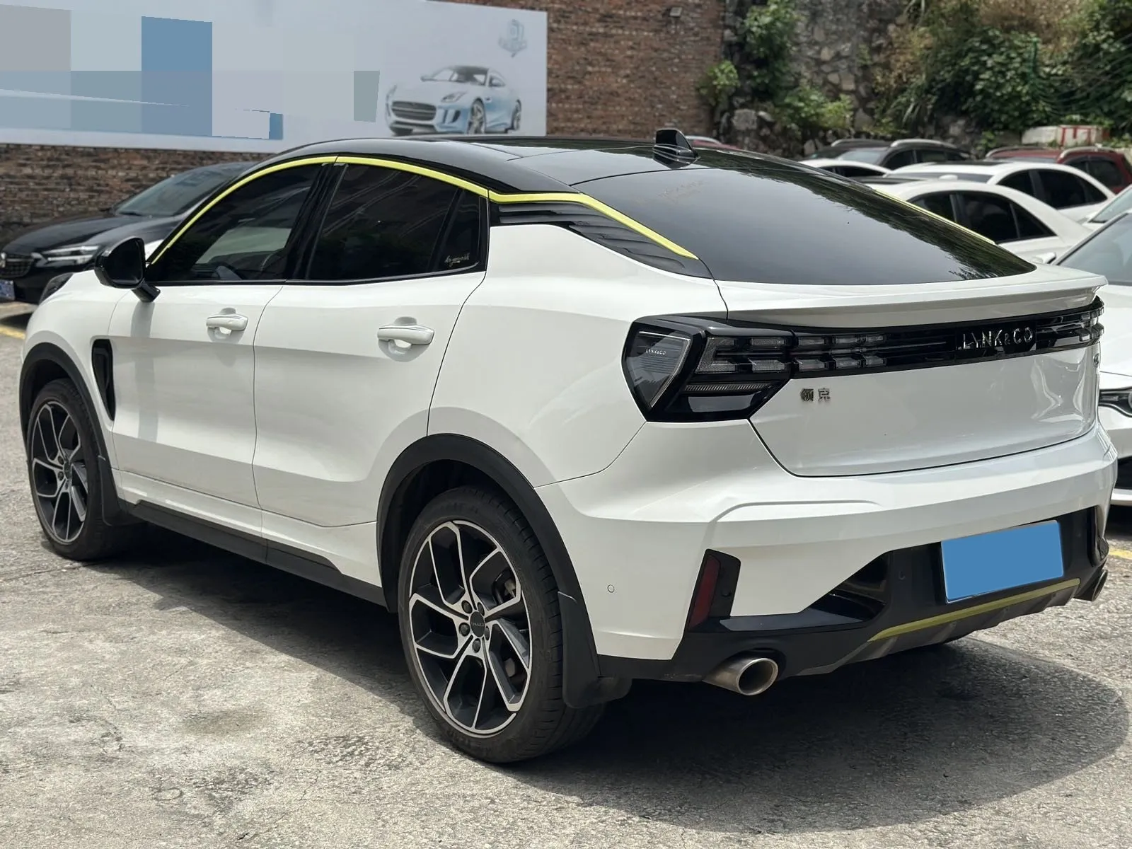 miniatura 7