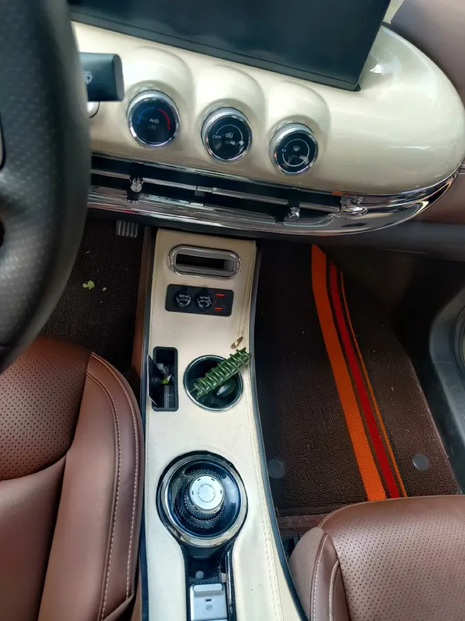 2023 WuLing BinGuo BEV 31.9KWH,autocango,china used car exporter,china ev exporter,chinese used car exporter,chinese used ev exporter