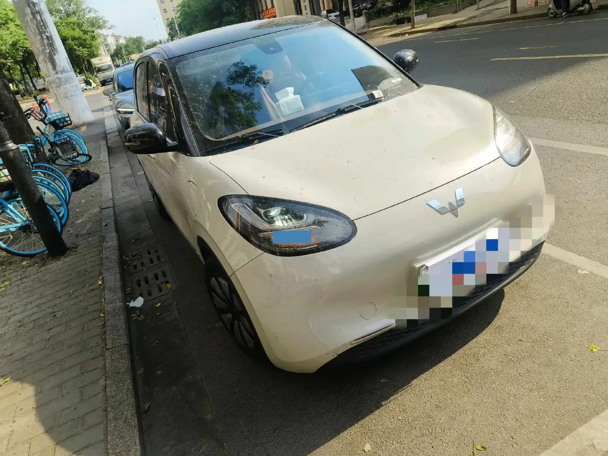 2023 WuLing BinGuo BEV 31.9KWH,autocango,china used car exporter,china ev exporter,chinese used car exporter,chinese used ev exporter