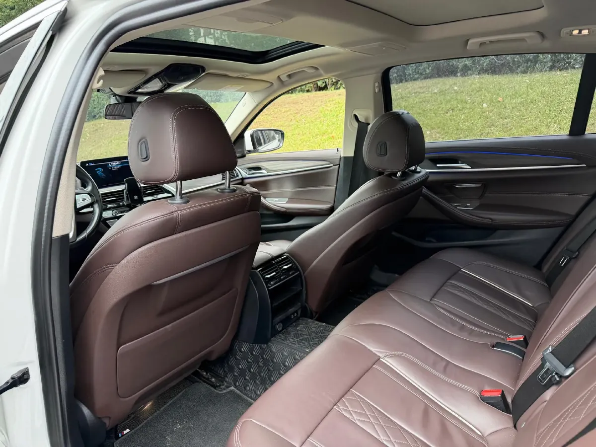 2020 BMW 5 Series 2.0T 184HP L4 8AT PHEV 17.7KWH,autocango,china used car exporter,china ev exporter,chinese used car exporter,chinese used ev exporter