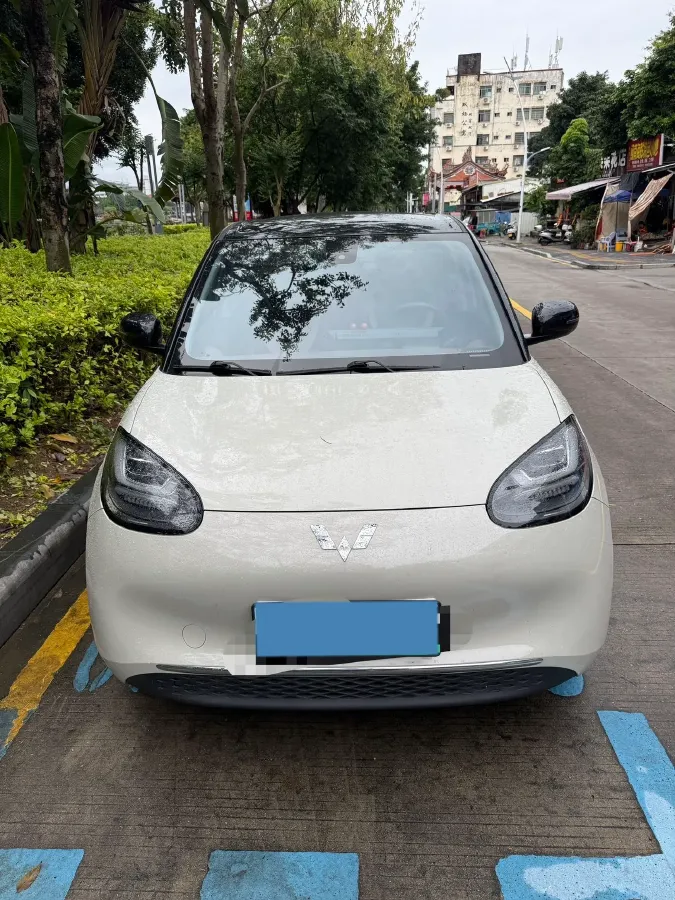 2023 WuLing BinGuo BEV 31.9KWH,autocango,china used car exporter,china ev exporter,chinese used car exporter,chinese used ev exporter