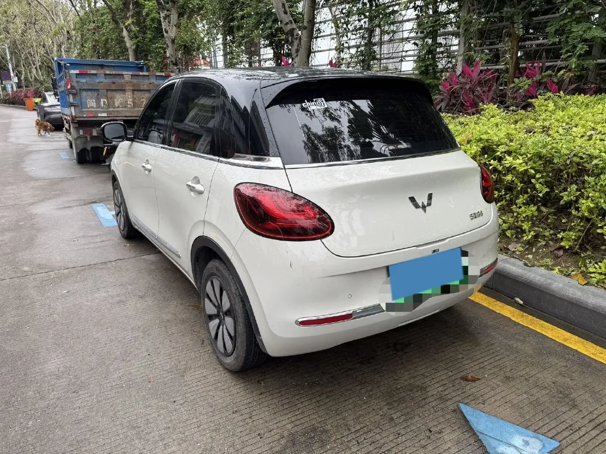 2023 WuLing BinGuo BEV 31.9KWH,autocango,china used car exporter,china ev exporter,chinese used car exporter,chinese used ev exporter