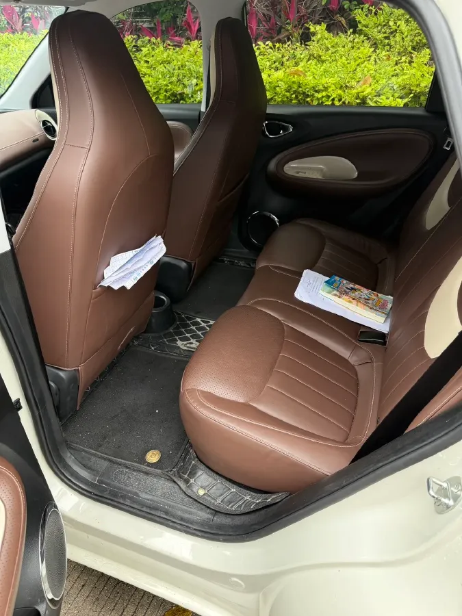 2023 WuLing BinGuo BEV 31.9KWH,autocango,china used car exporter,china ev exporter,chinese used car exporter,chinese used ev exporter