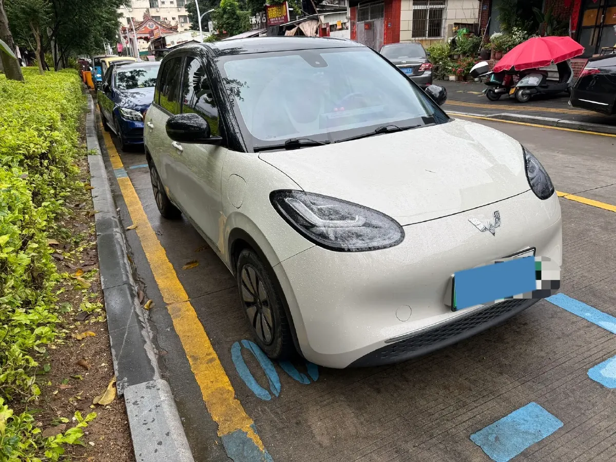 2023 WuLing BinGuo BEV 31.9KWH,autocango,china used car exporter,china ev exporter,chinese used car exporter,chinese used ev exporter