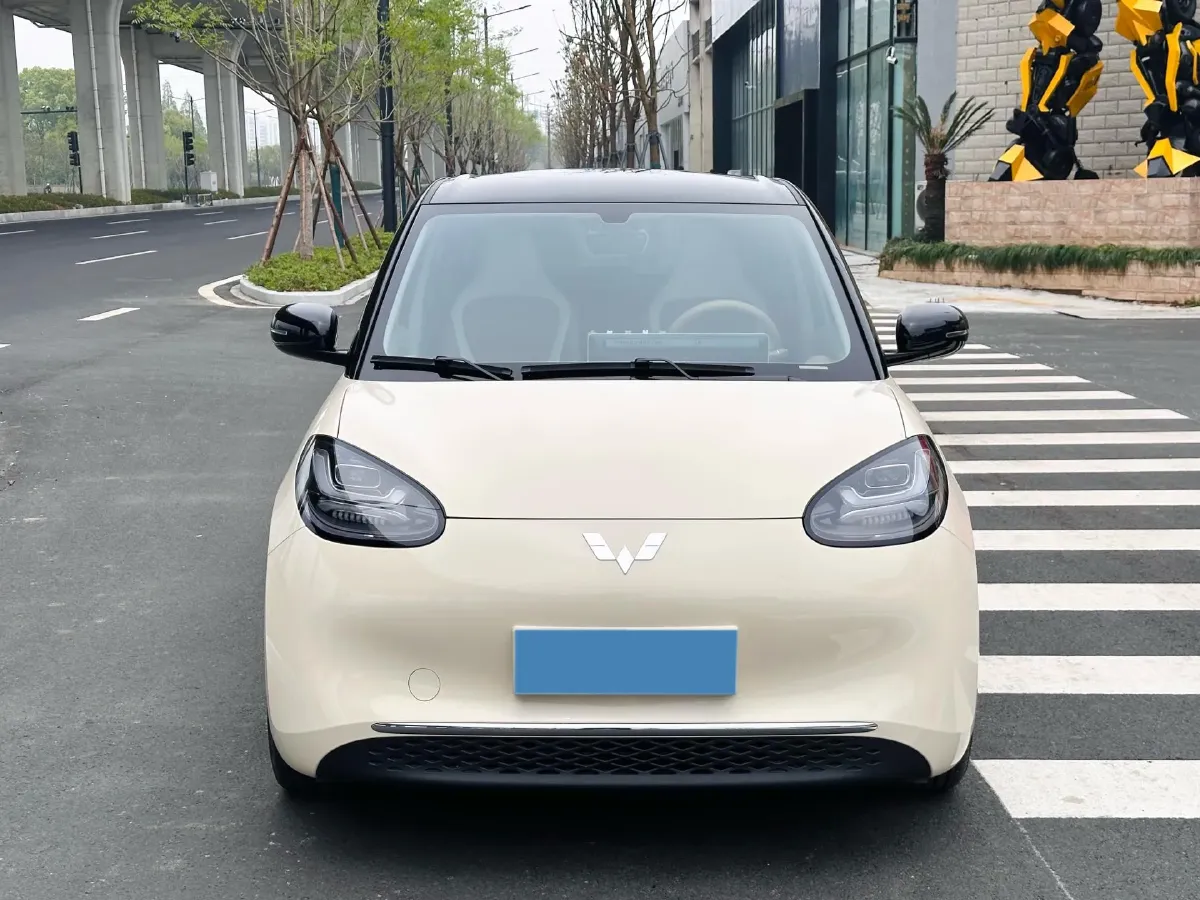 2025 WuLing BinGuo BEV,autocango,china used car exporter,china ev exporter,chinese used car exporter,chinese used ev exporter