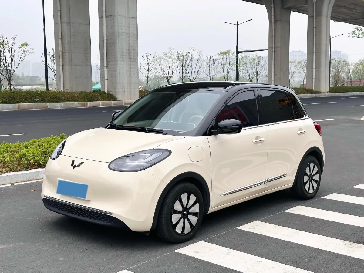 2025 WuLing BinGuo BEV,autocango,china used car exporter,china ev exporter,chinese used car exporter,chinese used ev exporter