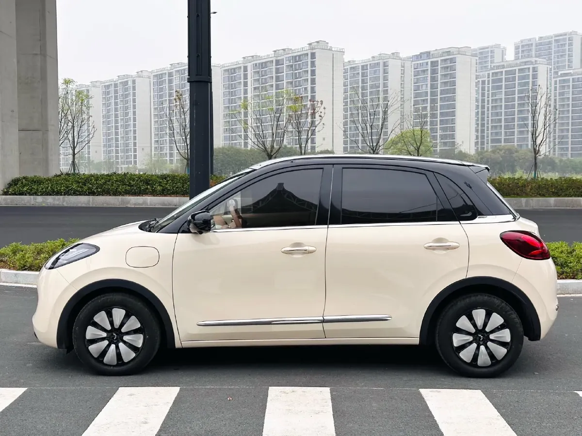 2025 WuLing BinGuo BEV,autocango,china used car exporter,china ev exporter,chinese used car exporter,chinese used ev exporter