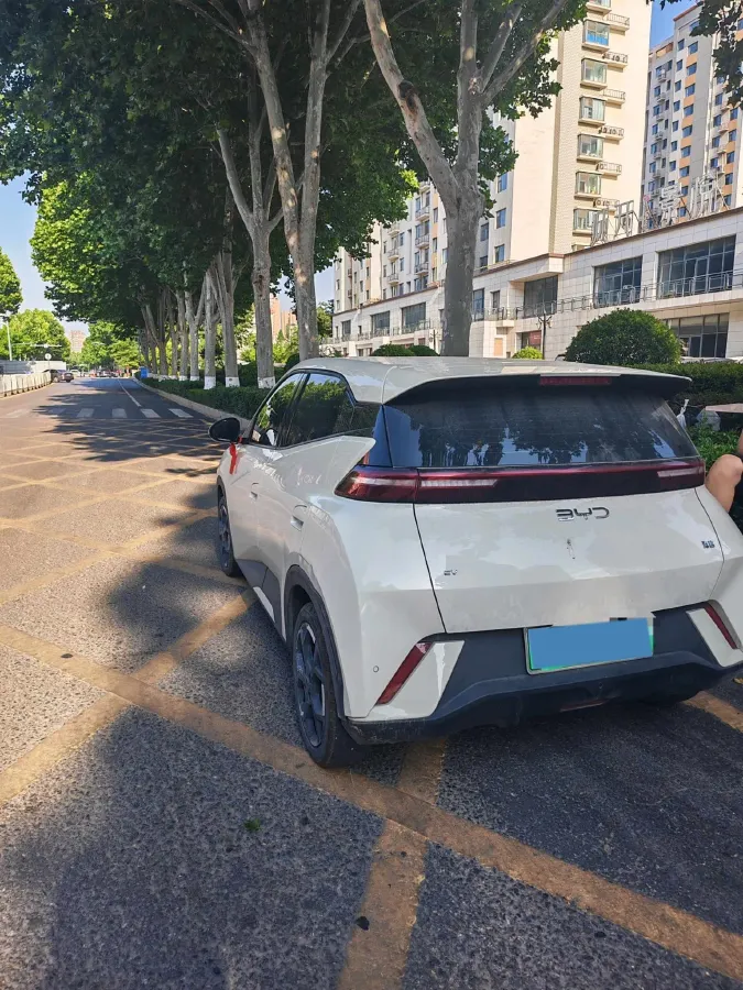 2024 BYD Seagull BEV 30.08KWH,autocango,china used car exporter,china ev exporter,chinese used car exporter,chinese used ev exporter