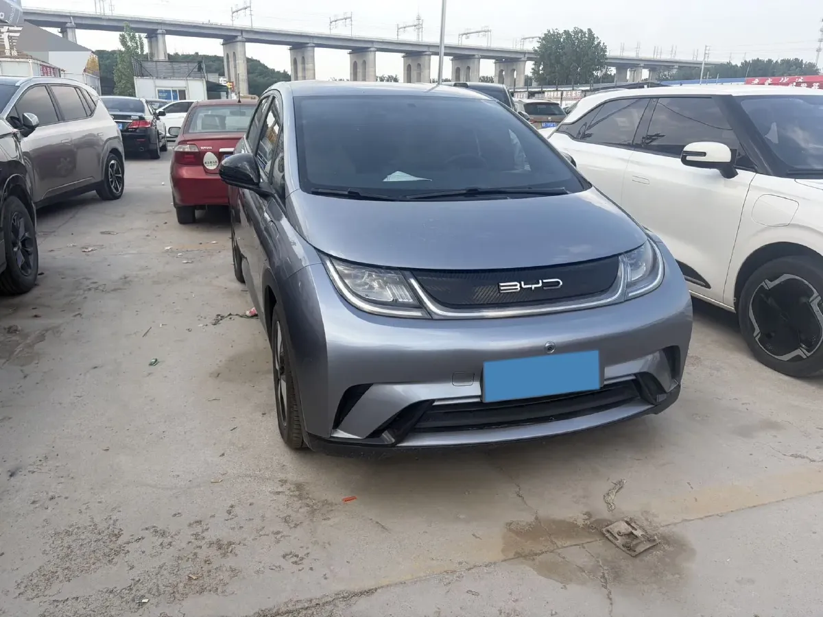 2023 BYD Dolphin BEV 44.928KWH,autocango,china used car exporter,china ev exporter,chinese used car exporter,chinese used ev exporter