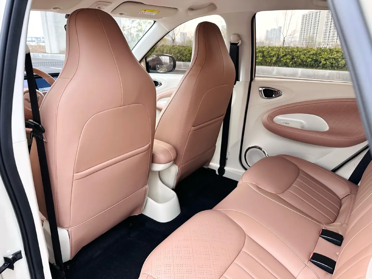 2025 WuLing BinGuo BEV,autocango,china used car exporter,china ev exporter,chinese used car exporter,chinese used ev exporter