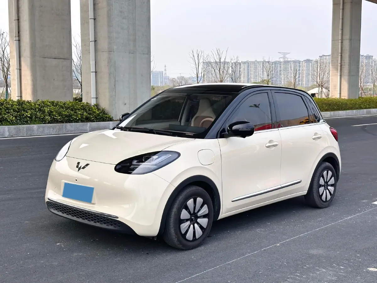 2025 WuLing BinGuo BEV,autocango,china used car exporter,china ev exporter,chinese used car exporter,chinese used ev exporter