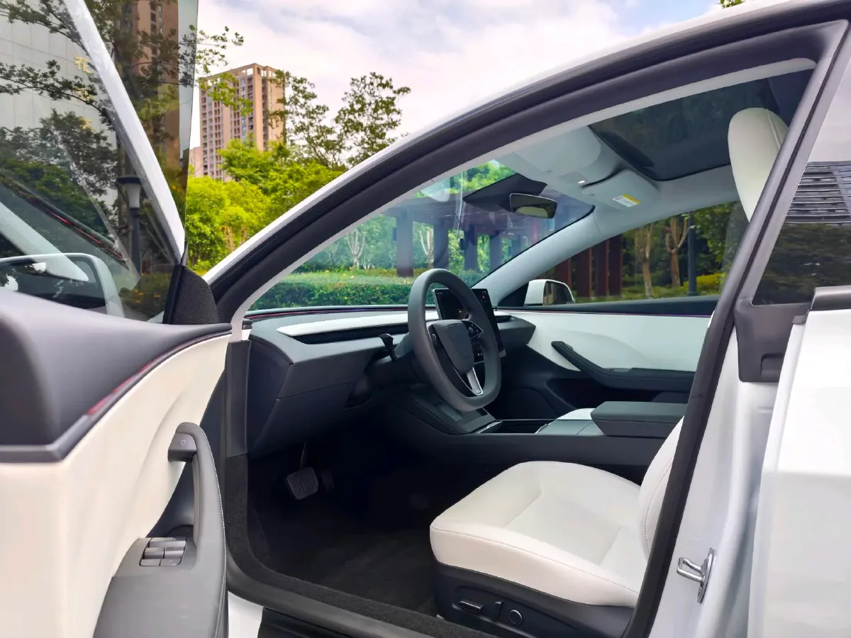 2025 Tesla Model 3 BEV,autocango,china used car exporter,china ev exporter,chinese used car exporter,chinese used ev exporter